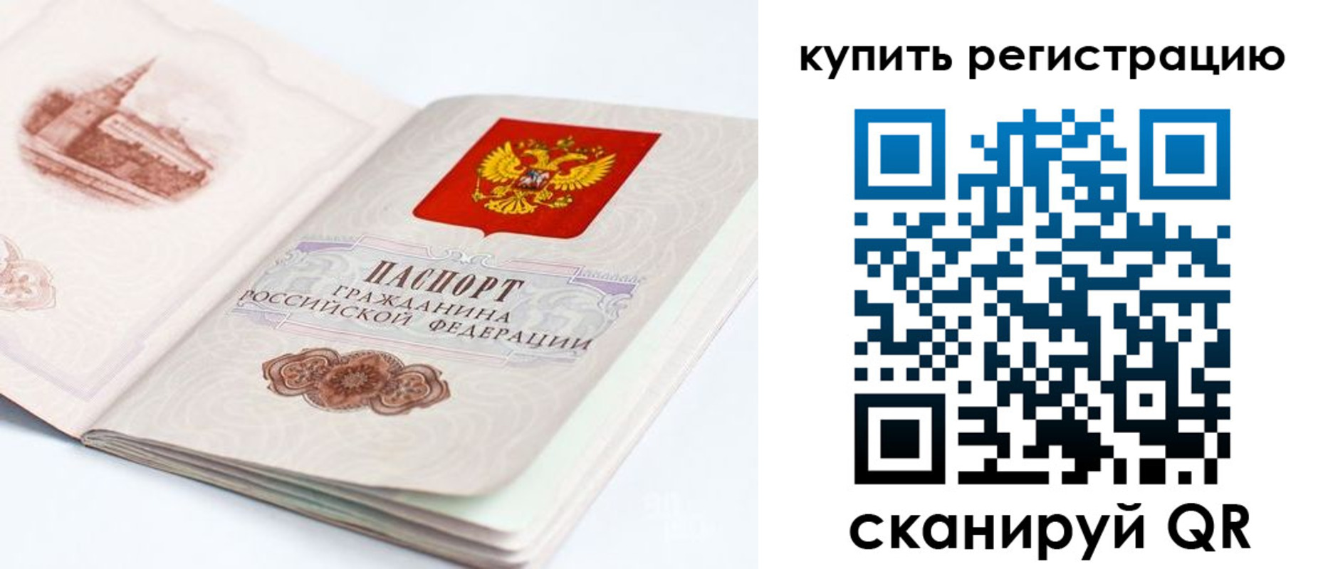 прописка поиск в Клинцах